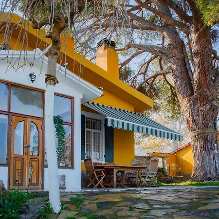 Saygin Ephesus Boutique Farmház *