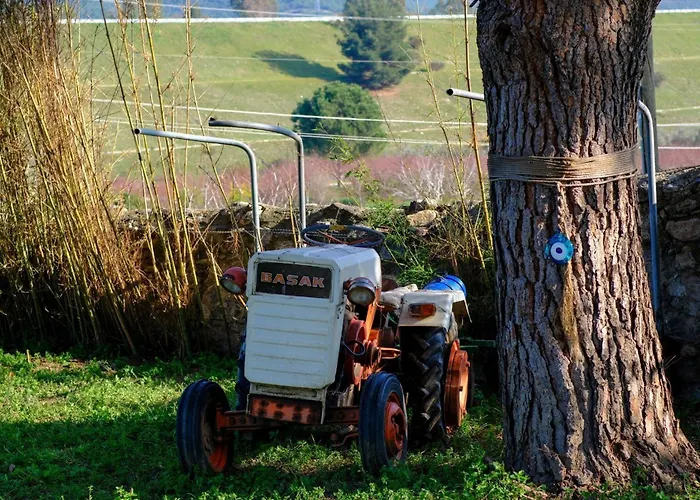 Saygin Ephesus Boutique Farmház
