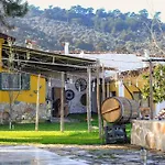 Saygin Ephesus Boutique Tire