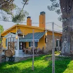 Saygin Ephesus Boutique Feriegård *
