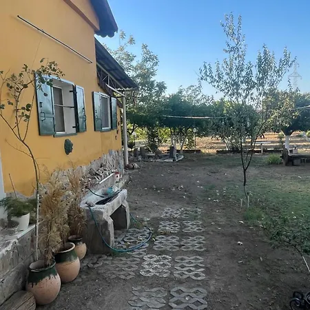 Saygin Ephesus Boutique Vakantieboerderij *