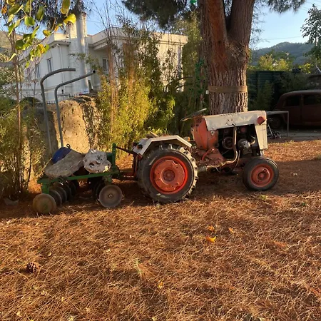 Saygin Ephesus Boutique * Tire