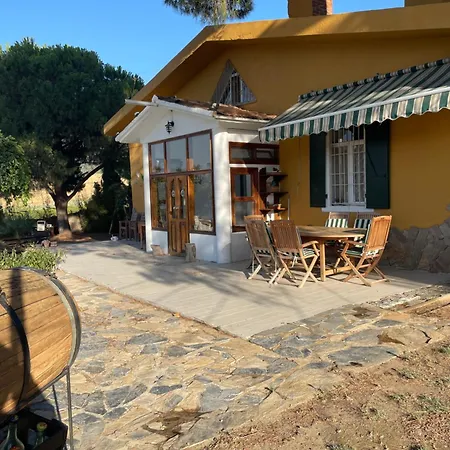 Vakantieboerderij Saygin Ephesus Boutique Tire