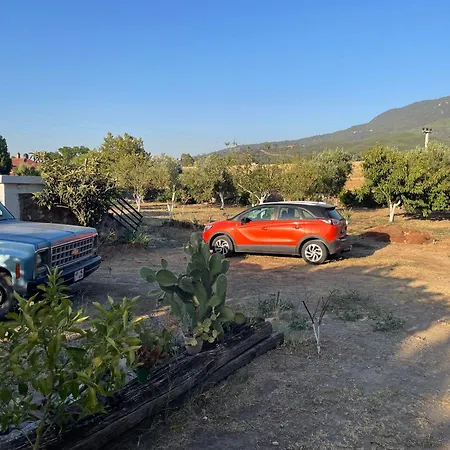 Saygin Ephesus Boutique Tire