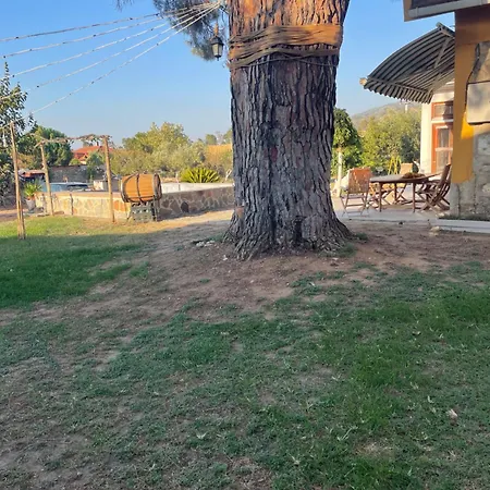 Saygin Ephesus Boutique *