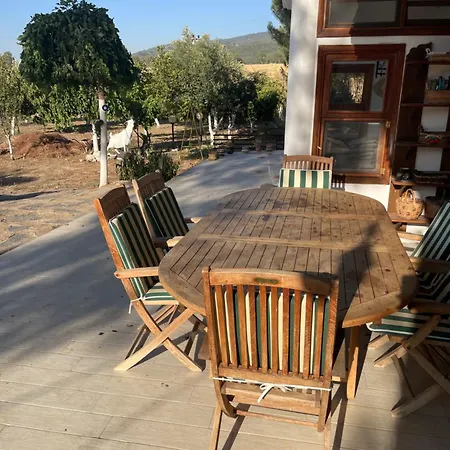 Saygin Ephesus Boutique * Tire