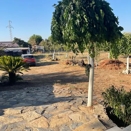 Saygin Ephesus Boutique בית חווה *