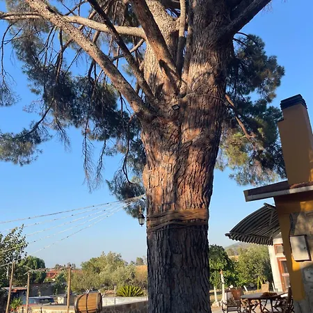 Saygin Ephesus Boutique Vakantieboerderij