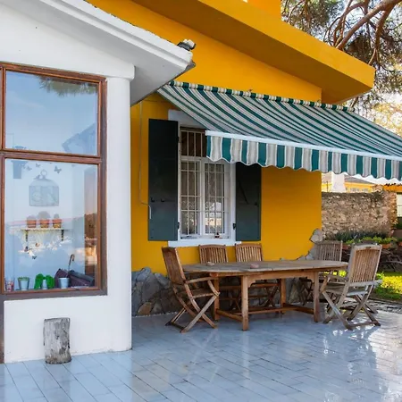 Saygin Ephesus Boutique בית חווה Tire