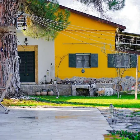 Saygin Ephesus Boutique