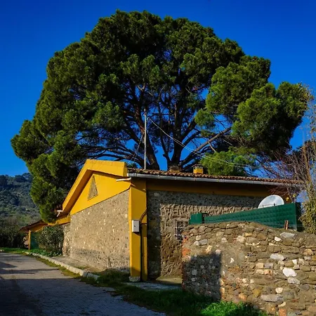 Saygin Ephesus Boutique Alloggio per agriturismo Tire