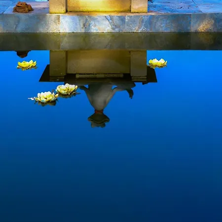 בית חווה Saygin Ephesus Boutique Tire