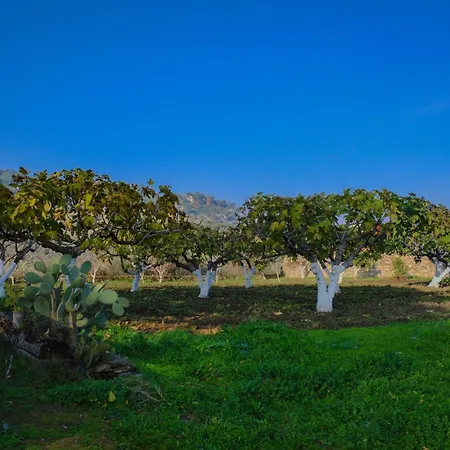 Saygin Ephesus Boutique בית חווה