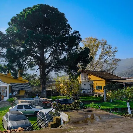 Saygın Boutique Séjour à la ferme Tire