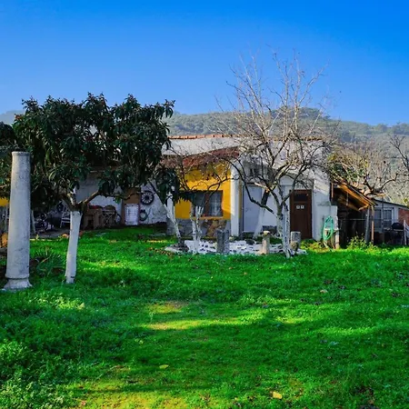 Saygın Boutique Séjour à la ferme Tire