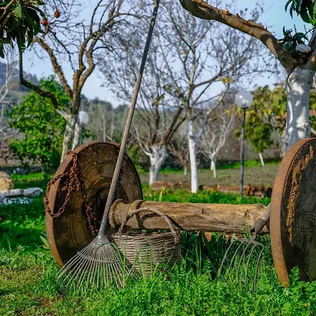 בית חווה Saygin Ephesus Boutique *