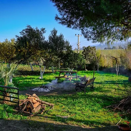 בית חווה Saygin Ephesus Boutique