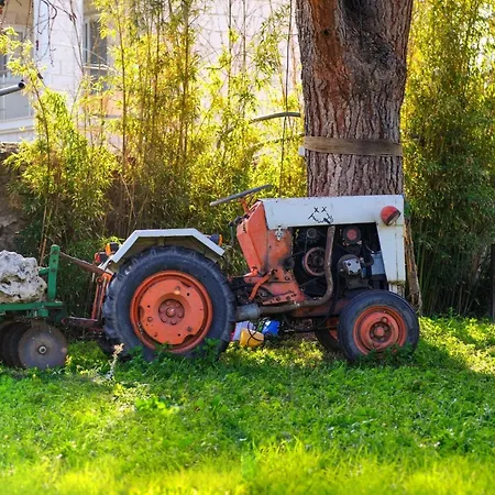 Saygin Ephesus Boutique בית חווה *