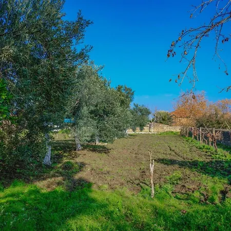 בית חווה Saygin Ephesus Boutique