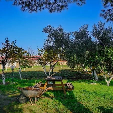 Saygin Ephesus Boutique * Tire