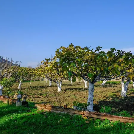 Saygin Ephesus Boutique * Tire