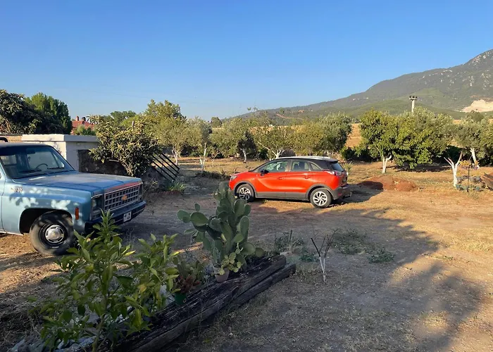 Saygin Ephesus Boutique Tire