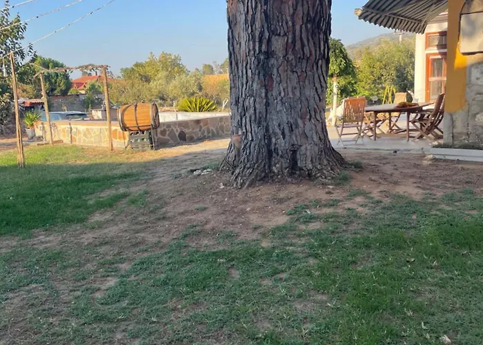 Saygin Ephesus Boutique *