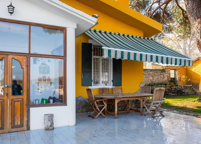 Saygin Ephesus Boutique Farma Tire