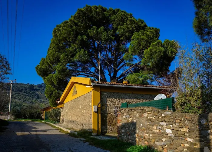 Saygin Ephesus Boutique Alloggio per agriturismo Tire