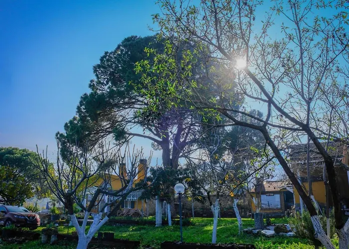 Saygin Ephesus Boutique