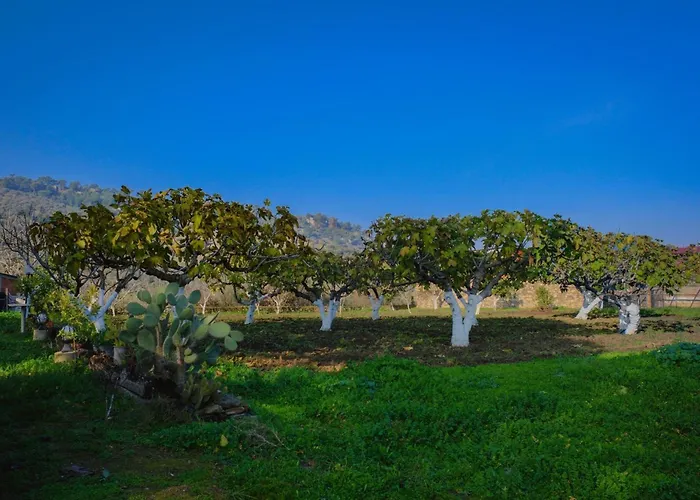 Saygin Ephesus Boutique Alloggio per agriturismo