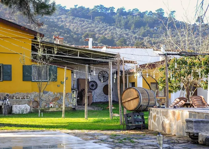 Saygin Ephesus Boutique Tire