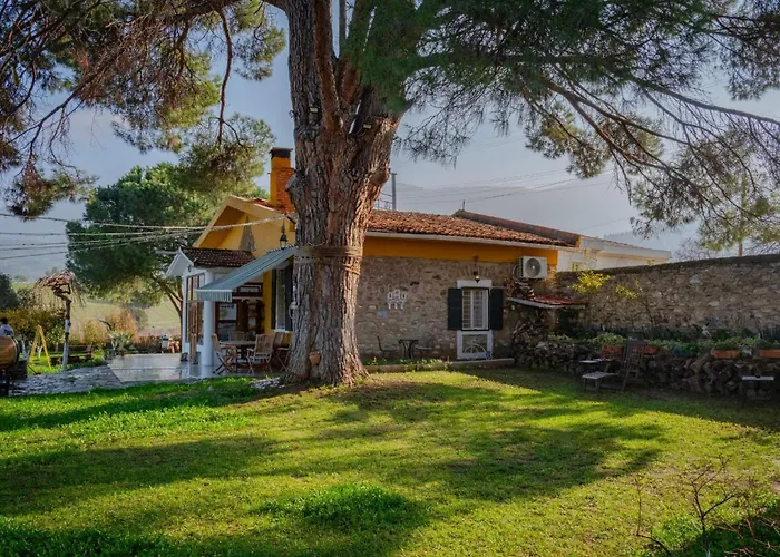 Alloggio per agriturismo Saygin Ephesus Boutique *