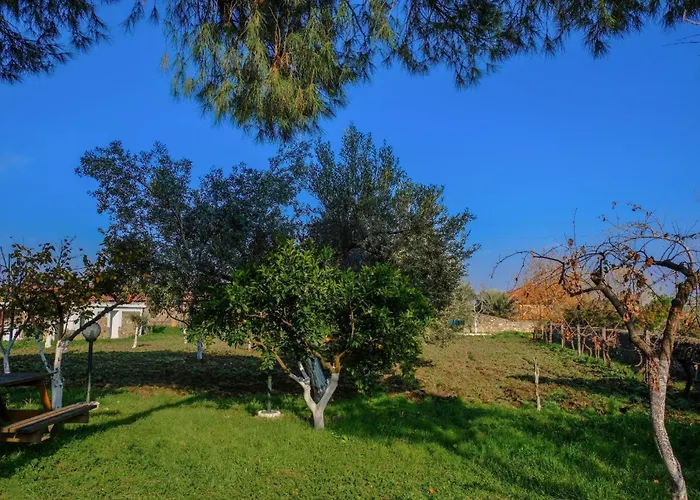 Saygin Ephesus Boutique * Tire