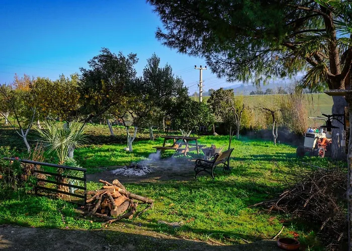 Alloggio per agriturismo Saygin Ephesus Boutique