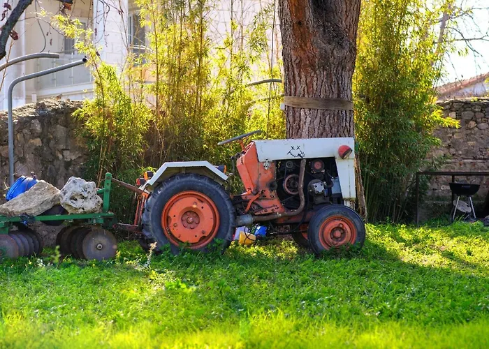 Saygin Ephesus Boutique Alloggio per agriturismo *