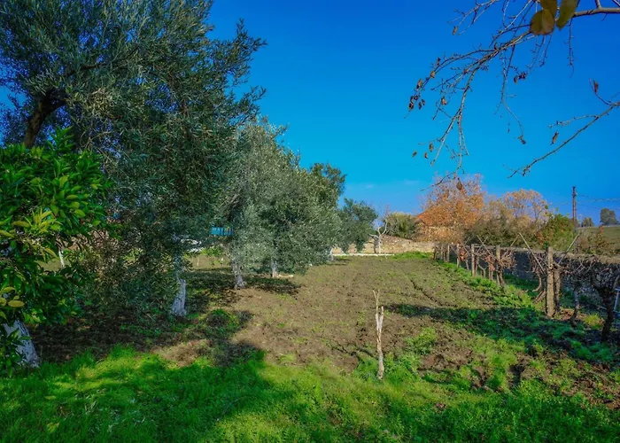 Alloggio per agriturismo Saygin Ephesus Boutique