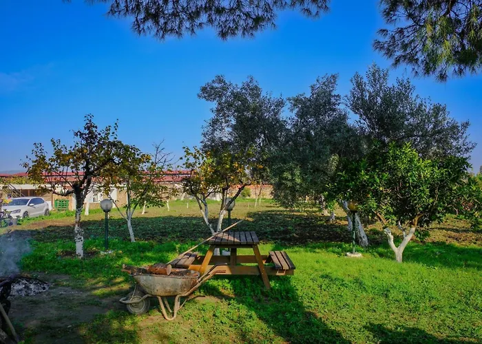 Saygin Ephesus Boutique * Tire