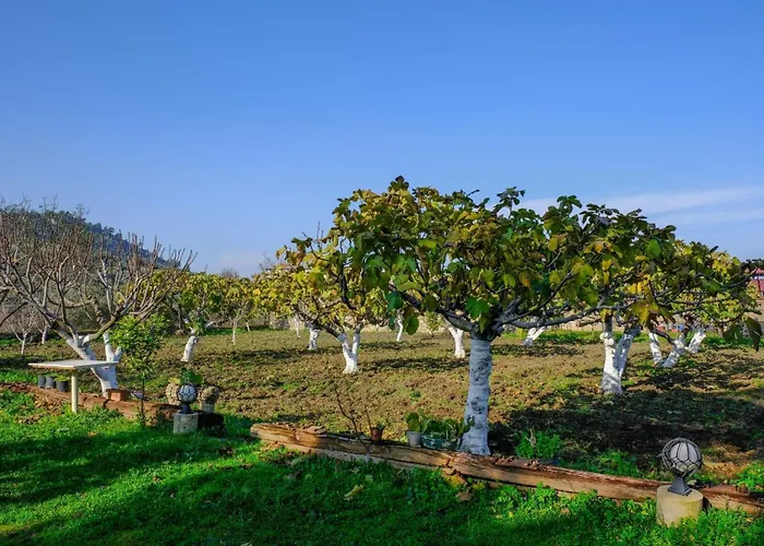 Saygin Ephesus Boutique * Tire