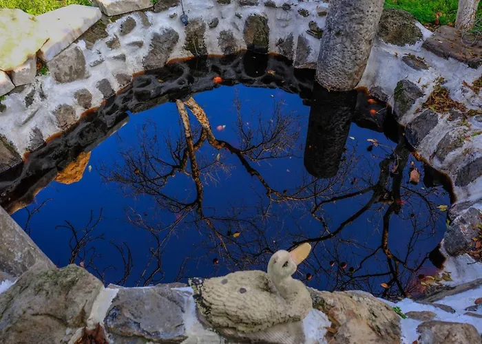 Saygin Ephesus Boutique * Tire